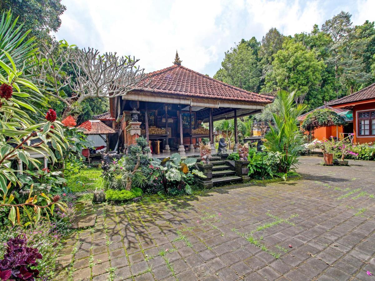 OYO Homes 91091 Desa Wisata Umejero Munduk  Bagian luar foto
