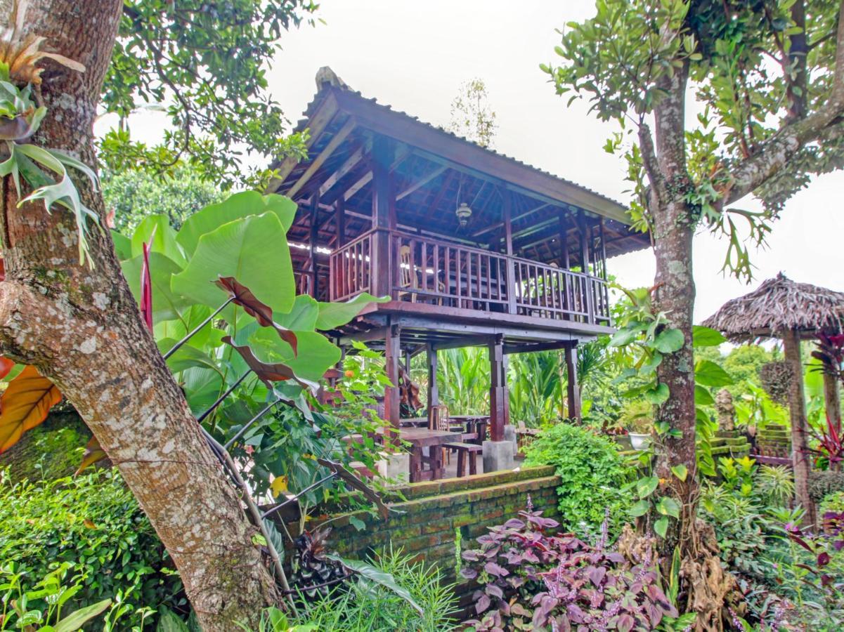 OYO Homes 91091 Desa Wisata Umejero Munduk  Bagian luar foto